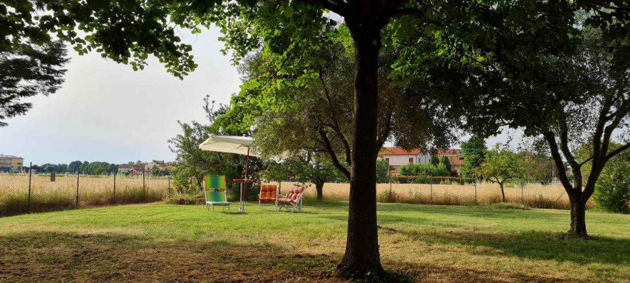 Chez Barnie Favoloso Appartamento Privato In Villa A 800Mt Ingresso Fiera Rimini Eksteriør bilde