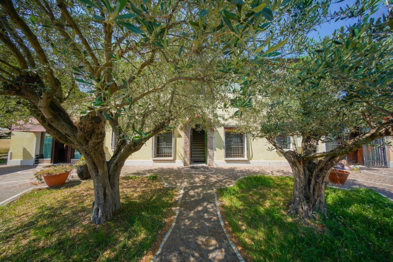 Chez Barnie Favoloso Appartamento Privato In Villa A 800Mt Ingresso Fiera Rimini Eksteriør bilde
