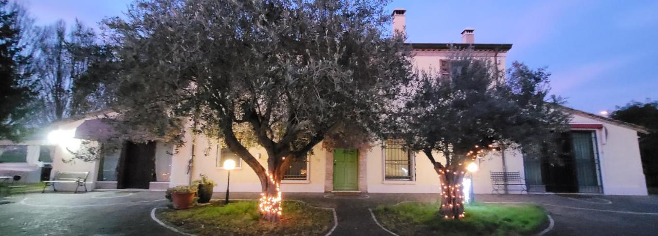 Chez Barnie Favoloso Appartamento Privato In Villa A 800Mt Ingresso Fiera Rimini Eksteriør bilde